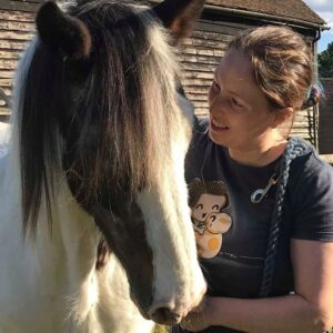 Webinarserie: Trauma en stress bij paarden