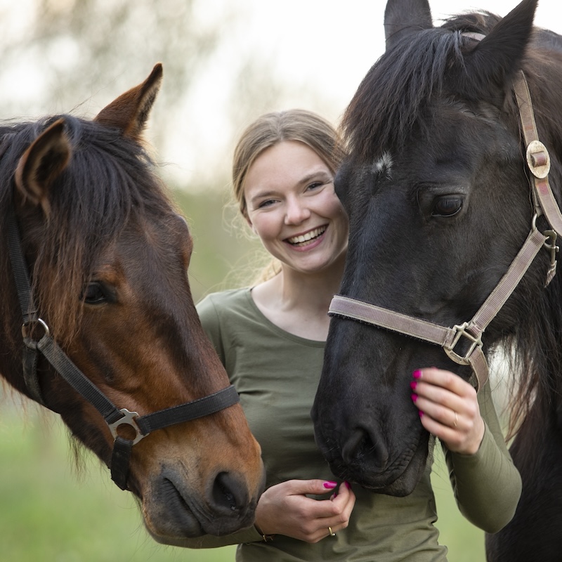 Anouk van dijk, hartenpaarden