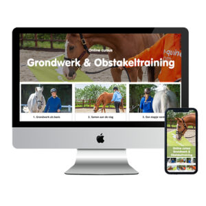 Online cursus Grondwerk & Obstakeltraining