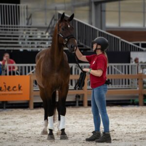 e-quine.com T-shirt unisex model