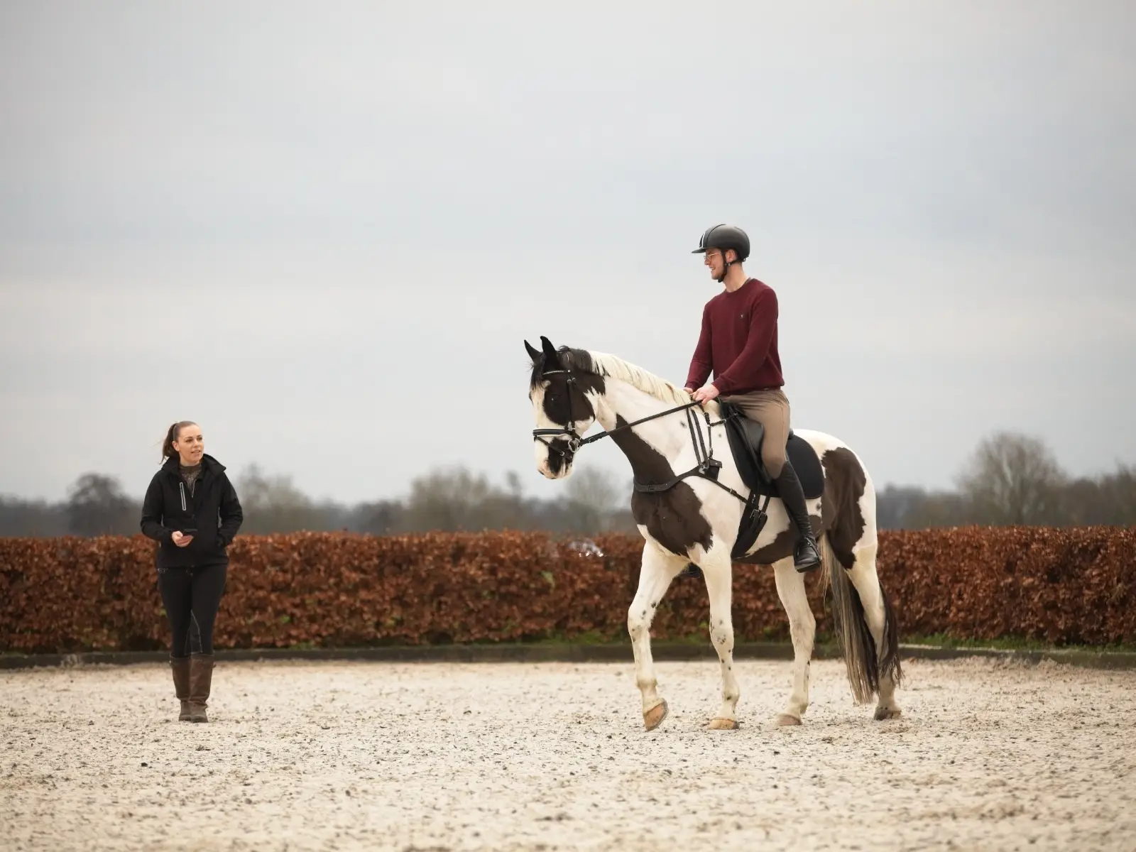 summit, paarden brein, paard, oog, stress, veerkracht, nynke van der horn, ESDR