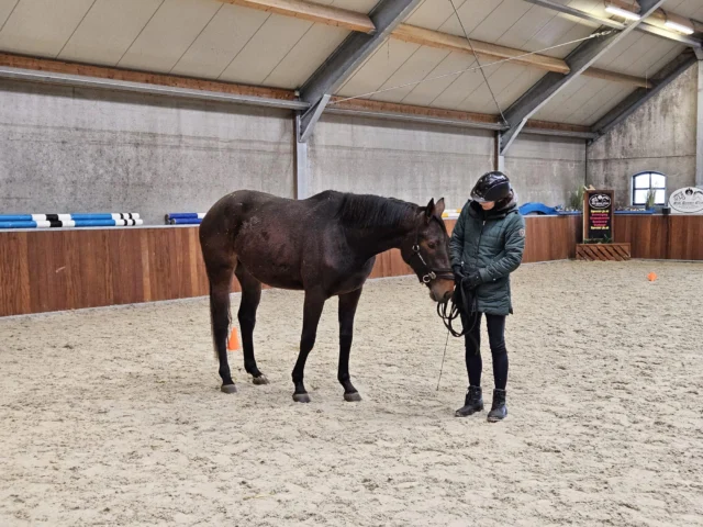 "Deze opleiding is gewoon een feestje. Prachtige locatie, geweldige paarden, gastvrije mensen en een top instructeur! Zo blij dat ik dit kan doen!"

Wat geweldig om zulke enthousiaste feedback van onze studenten te ontvangen! We zijn trots op al onze studenten en hun toewijding aan het verbeteren van de communicatie en samenwerking tussen mens en paard. Samen maken we de wereld voor paarden en hun eigenaren nog een stukje mooier!

 #paardentrainer #equinecom #annemarievandertoorn #paardenopleiding #orundiploma #jongpaard #paardentraining #paardengedrag #grondwerk #paardencommunicatie #trailerladen #paardeninstructeur #paardengedragstrainer #opleidinginstructeurpaardengedrag #paardentaal #paarden