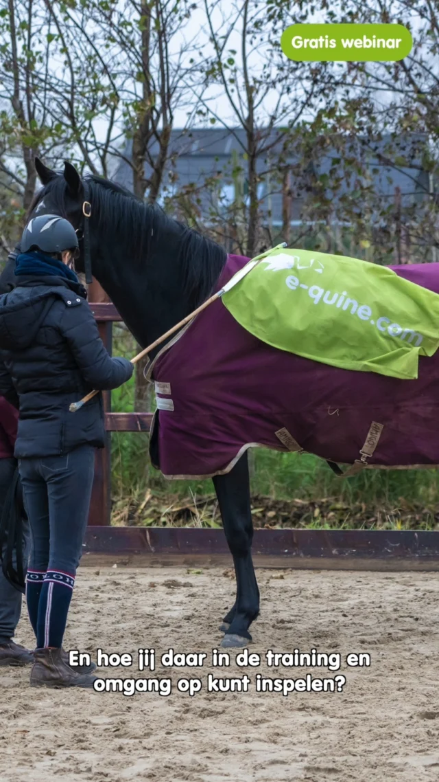 Hoe ziet jouw paard de wereld eigenlijk?
Wat voor ons logisch is, kan voor een paard totaal anders aanvoelen. Tijdens het  webinar "Paard vs Mens" neemt Annemarie van der Toorn je mee in de belevingswereld van het paard. 

Wat leer je o.a.? 
✔️ Waarom communicatie vaak misgaat
✔️ Hoe je lichaamstaal écht overkomt op je paard
✔️ Wat de belangrijkste verschillen zijn in waarnemen, denken en reageren

Benieuwd? Meld je snel aan voor dit gratis webinar via https://e-quine.com/webinar-paard-vs-mens/ of de link in onze bio!