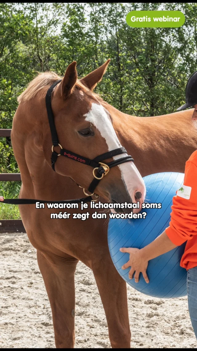 Waar wij scherp op details letten, ziet een paard vooral beweging. Waar wij analyseren, reageert het paard – als prooidier – instinctief en direct. Zijn zintuigen en brein werken fundamenteel anders dan die van ons, en dat heeft grote invloed op hoe we met elkaar communiceren en samenwerken. 

In dit gratis webinar op 3 juni gaan we samen onderzoeken hoe deze verschillen (én verrassende overeenkomsten!) onze training, communicatie en relatie met het paard beïnvloeden. 

Een interactieve sessie waarin we kennis delen, ervaringen uitwisselen, vragen stellen en samen dieper duiken in het fascinerende contrast tussen het paarden- en mensenbrein. 

📅 Wanneer? 3 juni 
⏰ Hoe laat? 19:00 
💻 Waar? Online, gratis deelname 

Meld je hier gratis aan: https://e-quine.com/webinar-paard-vs-mens/