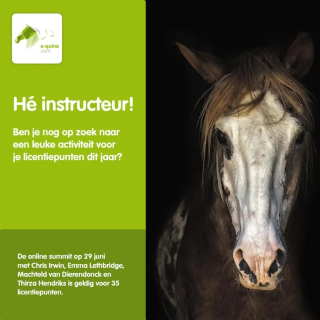 Ben jij instructeur en nog op zoek naar een leuke activiteit om je licentiepunten mee te verdienen dit jaar? Dan is dit je kans! #instructeur #bijscholing #licentiepunten