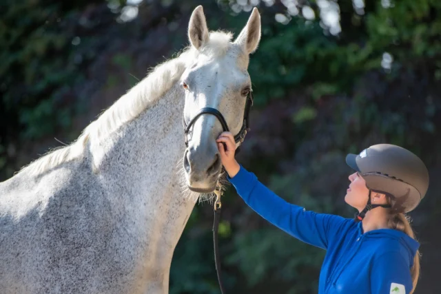 𝗪𝗮𝗮𝗿𝗼𝗺 𝗴𝗮𝗮𝗻 𝗽𝗮𝗮𝗿𝗱𝗲𝗻 𝘁𝗲𝗴𝗲𝗻 𝗱𝗿𝘂𝗸 𝗶𝗻? 🐴

Tijdens ons webinar afgelopen dinsdag kregen we een interessante vraag: “Waarom lijken paarden van nature juist tegen druk in te bewegen?”

Dat fenomeen noemen we 'into pressure'. Het klinkt misschien tegenstrijdig, maar paarden hebben van nature de neiging om druk op te zoeken in plaats van ervan weg te bewegen. Bijvoorbeeld: als je voor het eerst met je been drijft, versnelt het paard vaak niet, maar stopt hij of loopt zelfs achteruit. Of wanneer je aan een halstertouw trekt, trekt het paard juist terug.

Dit gedrag komt voort uit een overlevingsinstinct. In het wild zou een roofdier, zoals een leeuw, zich vastbijten in de flank van een prooidier. Als het paard dan zou proberen weg te draaien van die druk, zou de schade alleen maar groter worden. Dus blijft het juist tegen die druk hangen – een reflex die ooit levensreddend was.

Pas met training kunnen we een paard leren dat druk in onze context iets anders betekent – en dat het veilig is om eraan toe te geven.

Herken jij dit gedrag bij je paard?
 #lerenoverpaarden #orun #paardentaal #paardentrainer #jongepaarden #paardengedrag #paarden #grondwerk #paardentraining #obstakeltraining #paardencommunicatie #paardenstudie #jongpaard #trailerladen