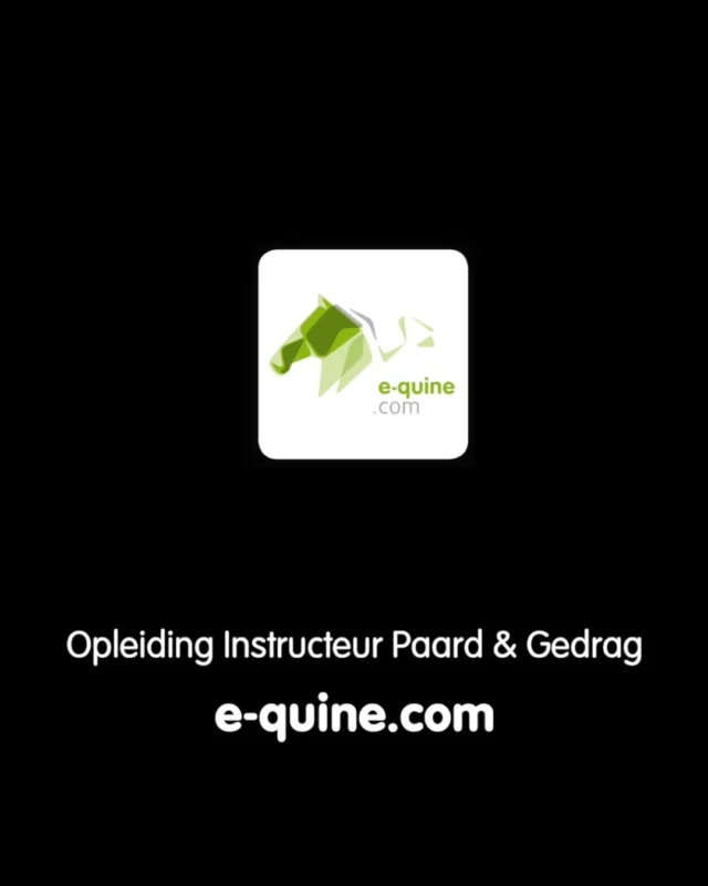 Jullie hebben Annemarie vast al eens voorbij zien komen. En ook studenten delen regelmatig hun ervaringen met de opleiding bij e-quine.com.
Maar… hoe is het eigenlijk om docent te zijn bij e-quine.com?

🎙️ In dit interview vertelt onze docent Lydia hoe zij haar rol ervaart binnen e-quine.com. Wat maakt e-quine.com zo bijzonder en waarom is deze manier van opleiden voor haar zo waardevol?