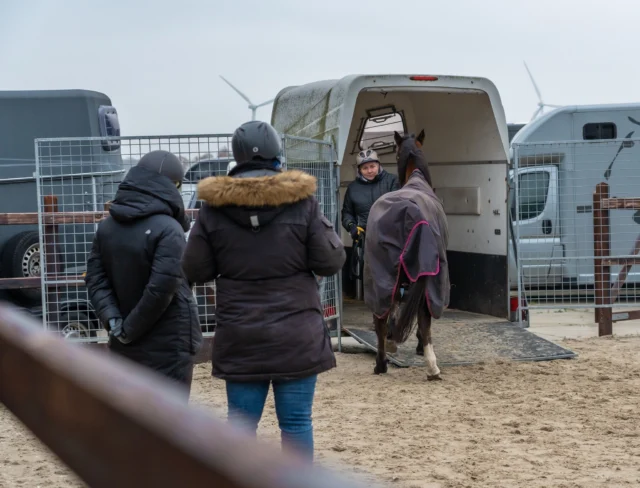 𝗪𝗮𝘁 𝗱𝗼𝗲 𝗷𝗲 𝗮𝗹𝘀 𝗷𝗲 𝗽𝗮𝗮𝗿𝗱 𝘀𝗰𝗵𝗿𝗶𝗸𝘁… 𝗲𝗻 𝗷𝗶𝗷 𝘇𝗲𝗹𝗳 𝗼𝗼𝗸?

Schrikreacties zijn normaal – ook bij mensen. Maar jouw spanning beïnvloedt direct je paard. Hij merkt het aan je ademhaling en spierspanning. Als jij schrikt, denkt hij al snel: "Er is echt iets aan de hand!"

💡 Daarom is het belangrijk dat jij leert omgaan met je eigen reactie. Dit helpt om de situatie veilig en beheersbaar te houden.

Wat kun je doen?

✅ Adem rustig in door je neus en adem langzaam uit door je mond. Dit helpt je lichaam kalmeren.
✅ Aai je paard (veilig van opzij) – dat helpt jou om te ontspannen.
✅ Ga pas verder als je merkt dat je weer rustig bent.
✅ Is het nog te spannend? Geef dat gewoon toe. Soms is het beter om even een stapje terug te doen in de training.
✅ Vraag hulp als je twijfelt.

Veiligheid begint bij jezelf. Hoe beter jij je voelt, hoe beter je paard kan reageren.
 #lerenoverpaarden #stress #paardensport #paardentraining #trailerladen #jongepaarden #kennisdelen #paardenliefde #paardentaal #paardenopleiding #paarden #paardenbedrijf #paardengezondheid #grondwerk #paardentrainer