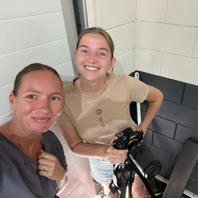 Dat we lesmateriaal maken voor het hippische MBO wisten jullie misschien al, maar wist je dat we ook lesmateriaal voor keuzedelen ontwikkelen? 🎥

Tijdens de zomervakantie hebben we niet stilgezeten en hebben we in samenwerking met Désirée Gebbink van Pasedes een onwijs leerzame cursus ontwikkeld over Voortplanting & Kunstmatige Inseminatie bij paarden. Het is een educatieve cursus waarbij het hele proces duidelijk wordt uitgelegd in combinatie met waardevol beeldmateriaal.

De cursus is een aanvulling voor het keuzedeel Voortplanting & KI op het MBO dat dit najaar van start gaat. 💪
#leukstewerk #MBOpaard #nieuweonlinecursus #samenwerking #veulen