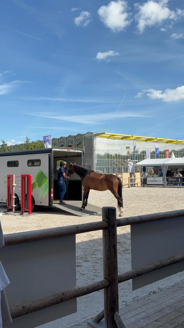Kijk je mee in onze dag 1 van Horse Event? 

Een drukke dag met drie demonstraties en een presentatie. Benieuwd naar een kijkje achter de schermen? Bekijk deze compilatie 😏

Bedankt @equilin.eu voor het sponsoren van de escaperoom en @paardenmeter voor het delen van jullie foto’s voor het spel 🤩

#paardentraining #paardengedrag #paardengedragstrainer #paardendemonstratie #paardenevenement #horseevent #horseeventpro #annemarievandertoorn #paardengedragstraining #paardenobstakels #paardentrailer #paardentraining #paardencommunicatie #equinecom #instructeurpaardengedrag #skydancer #leukstewerk