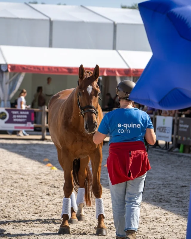 𝗗𝗮𝗴 𝟮 𝘃𝗮𝗻 @horse_eventpro – 𝘄𝗮𝘁 𝗲𝗲𝗻 𝗱𝗮𝗴ⵑ 

Ook op zondag stonden er weer volop gave demo’s op het programma die druk bezocht werden. Het escape spel werd fanatiek gespeeld 🕵️‍♀️🔐 en de trailerlaaddemo pakten we dit keer nét even anders aan… niet met een trailer, maar met een vrachtwagen! Wat zijn de voor- en nadelen van zowel een trailer als een vrachtwagen en hoe pak je het afsluiten in dit geval aan?

Onze skydancer was opnieuw een groot succes  en wat hebben we weer stoere paarden gezien. 💪

Wij kijken terug op een fantastisch weekend. Bedankt allemaal – en op naar volgend weekend! @horse_event 

 #opleiding #Paardenliefde #paardenbedrijf #paarden #HorseBehavior #trailerladen #paardentaal #Lichaamstaal #Communicatie #equine #horseevent2025 #horseeventpro
