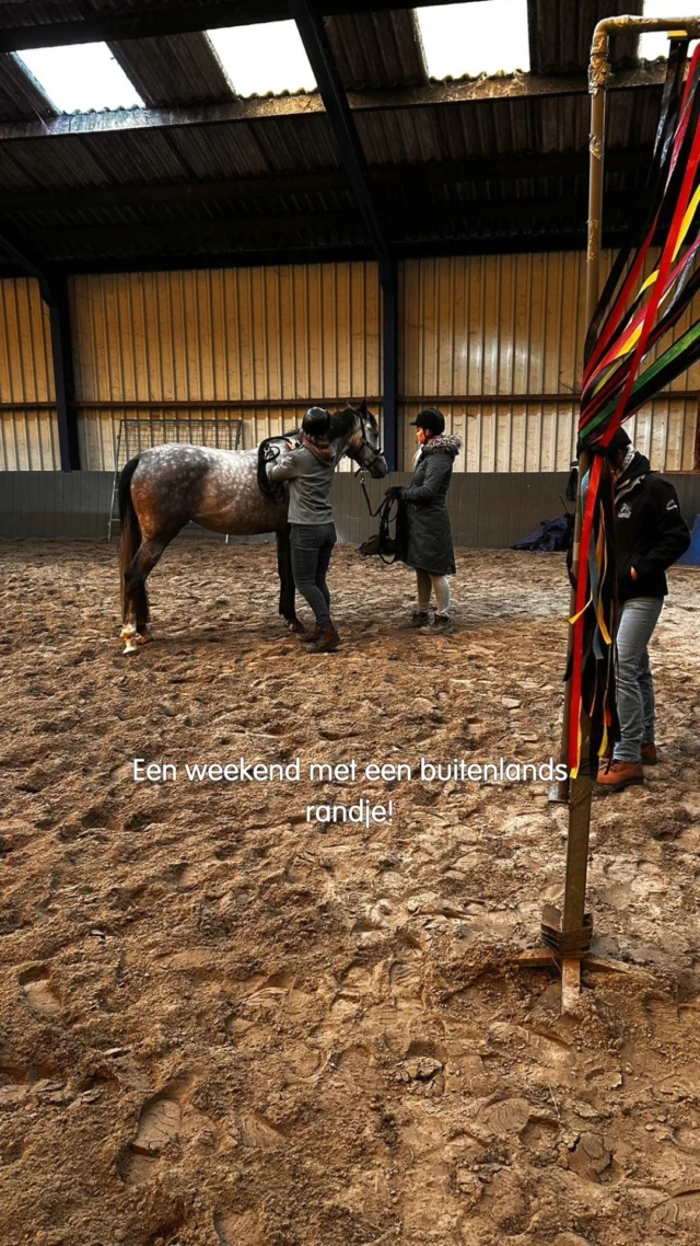 Twee keer per jaar komen onze internationale instructeurs naar Nederland voor een intensief lesweekend met niveau-3 van de opleiding Instructeur Paard & Gedrag.
Een van onze studenten heeft afgelopen lesweekend leuke beelden gemaakt. In deze korte video krijg je een inkijkje in de trainingen, het samenwerken met de jonge paarden en de sfeer van het weekend!
#paardenbedrijf #Communicatie #paarden #trailerladen #Lichaamstaal #equine #jongpaard #HorseBehavior #opleiding #jongepaarden #samenwerking #paardentaal