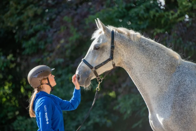 Nog 1 plekje vrij voor zondag! Ben jij erbij?
Samenwerken met je paard begint bij elkaar รฉcht begrijpen. 
Tijdens de cursus Communicatie & Loswerken op 2 november ontdek je hoe je met kleine signalen groot verschil maakt.
We verdiepen ons in de taal van het paard en oefenen met loswerken en grondwerk, zodat jij leert afstemmen in plaats van aansturen. Samenwerking gebaseerd op vertrouwen, respect en duidelijkheid.
๐
 Zondag 2 november
๐ Gouda
๐ด Geen eigen paard nodig - we werken met paarden van de locatie
๐ Voor elke paardenliefhebber - geen voorkennis nodig