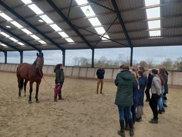Voor niveau 3 stond er vandaag een interessante lesdag op het programma. Thijs Kalkdijk van Dd-Physio kwam om zijn expertise te delen op gebied van de fysieke beoordeling van het paard. Waardevolle kennis voor onze instructeurs in opleiding! 🙏🏼 #paardenfysiotherapie #instructeurpaardengedrag