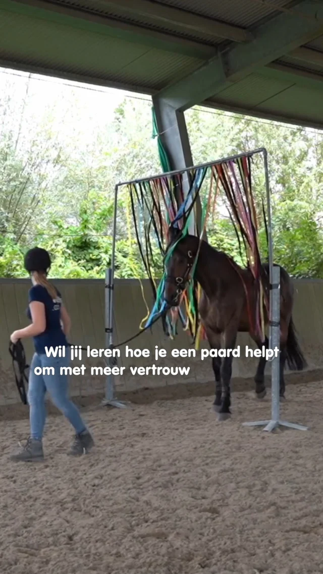 𝗪𝗶𝗹 𝗷𝗶𝗷 𝗵𝗲𝘁 𝗻𝗶𝗲𝘂𝘄𝗲 𝗷𝗮𝗮𝗿 𝗴𝗼𝗲𝗱 𝗯𝗲𝗴𝗶𝗻𝗻𝗲𝗻 𝗲𝗻 𝘁𝘄𝗶𝗷𝗳𝗲𝗹 𝗷𝗶𝗷 𝗼𝗳 𝗱𝗲 𝗼𝗽𝗹𝗲𝗶𝗱𝗶𝗻𝗴 𝘁𝗼𝘁 𝗶𝗻𝘀𝘁𝗿𝘂𝗰𝘁𝗲𝘂𝗿 𝗣𝗮𝗮𝗿𝗱 & 𝗚𝗲𝗱𝗿𝗮𝗴 𝗯𝗶𝗷 𝗷𝗼𝘂 𝗽𝗮𝘀𝘁?

Kom dan naar onze gratis informatieochtend op zondag 𝟭𝟭 𝗷𝗮𝗻𝘂𝗮𝗿𝗶 in Gouda, van 𝟭𝟬:𝟬𝟬 tot 𝟭𝟮:𝟯𝟬.

Je maakt kennis met de opleiding, onze visie op paard en gedrag en kunt al je vragen stellen aan onze docenten.
Daarnaast ga je ook zelf actief aan de slag om feeling te krijgen met onze manier van werken.

Er zijn nog een paar plekken beschikbaar, dus meld je op tijd aan via:
👉 https://e-quine.com/opleiding/gratis-open-ochtend/

We zien je graag op 11 januari in Gouda!

#paardentaal #paardenliefde #lichaamstaal #horsebehavior #paard #jongpaard #paardentraining #communicatie #grondwerk #jongepaarden #instructeur #opleiding #paardengezondheid #paardentrainer