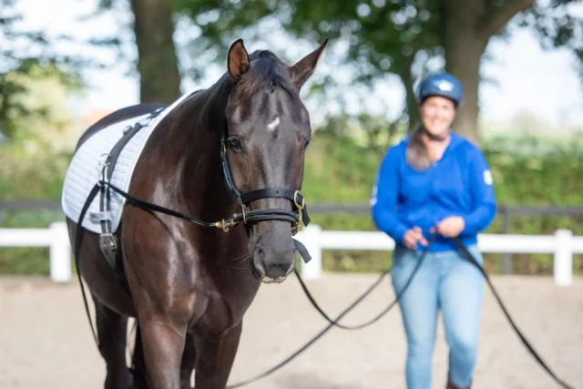 We zijn de afgelopen tijd achter de schermen héél druk geweest… 👀✨
Iets waar we al een tijdje mee bezig waren krijgt eindelijk vorm en we kunnen niet wachten om het met jullie te delen!

Eind december gebeurt er iets nieuws, iets waar we zelf mega enthousiast over zijn. 🤍 Meer kunnen we nog niet zeggen, maar het wordt heel leuk.

Any guesses? 👀👇

 #trailerladen #samenwerking #jongepaarden #HorseBehaviour #paardenbedrijf #paardentaal #paarden #paardengezondheid #Lichaamstaal #opleiding #equine #Communicatie #paardencursus