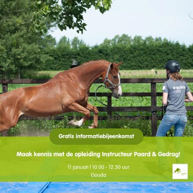 𝗢𝗻𝘁𝗱𝗲𝗸 𝗼𝗳 𝘄𝗲𝗿𝗸𝗲𝗻 𝗺𝗲𝘁 𝗽𝗮𝗮𝗿𝗱𝗲𝗻 𝗲𝗻 𝗴𝗲𝗱𝗿𝗮𝗴 𝗯𝗶𝗷 𝗷𝗼𝘂 𝗽𝗮𝘀𝘁ⵑ

Ben jij nieuwsgierig naar waarom paarden doen wat ze doen?
En wil je leren hoe je hun gedrag positief kunt beïnvloeden met respect én kennis?

Tijdens onze 𝗴𝗿𝗮𝘁𝗶𝘀 𝗼𝗽𝗲𝗻 𝗼𝗰𝗵𝘁𝗲𝗻𝗱 maak je kennis met de opleiding Instructeur Paard & Gedrag.
Je krijgt een kijkje in de lesstof, ontmoet docenten en ervaart zelf hoe praktijk en theorie samenkomen.

𝗪𝗮𝗮𝗿𝗼𝗺 𝗼𝗻𝘇𝗲 𝗼𝗽𝗹𝗲𝗶𝗱𝗶𝗻𝗴?
✅ Enige officieel erkende opleiding gericht op paardengedrag in Nederland (KNHS & NOC*NSF)
✅ Unieke mix van theorie en praktijk, begeleid door topdocenten
✅ Leer de diepere oorzaken achter paardengedrag begrijpen

📍 Gouda
🗓 Zondag 11 januari
⏰ 10:00 – 12:30
💸 Gratis deelname

Meld je vandaag nog aan en verzeker je van een plek: https://e-quine.com/opleiding/gratis-open-ochtend/

Tot dan!
