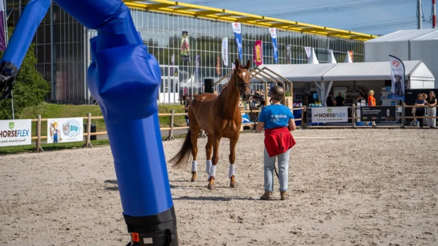“Wat heb ik genoten van de afgelopen 2-daagse (moeilijke en jonge paarden) bij Horses of the Olympus in Bergen.
De locatie (no-nonsense en functioneel), de sfeer en omgang met de bijzondere paarden, jullie werkwijze en info-overdracht en de ruimte voor de deelnemer(s).
Zoveel geleerd, mooie dingen gezien en met warme rust van binnen aan het nagenieten.”

Ontzettend leuk om zulke reacties van deelnemers te ontvangen. De eerste editie van Annemarie’s Special kijken we met een goed gevoel op terug!

De tweede editie staat gepland voor eind januari. Daarnaast zijn we bezig met het vastleggen van nieuwe data voor volgend jaar, waarover binnenkort meer volgt.😉

 #opleiding #paarden #paardentaal #Communicatie #paardenbedrijf #paardengezondheid #jongepaarden #paardencursus #Lichaamstaal