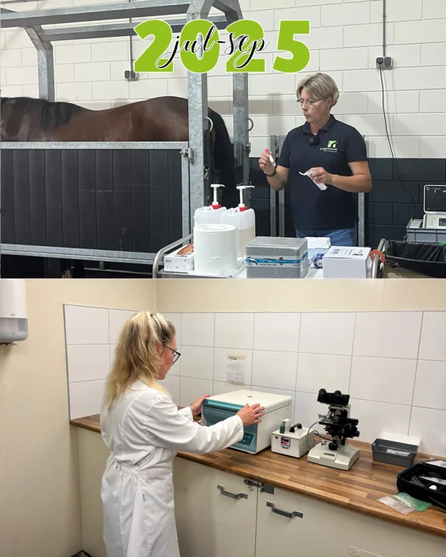 Een rustige periode breekt aan voor ons, want in juli en augustus liggen de lessen voor de instructeursopleiding stil en kunnen ook wij genieten van onze vakantie. 
Wel werken we in deze periode hard door aan het lesmateriaal voor de hippische MBO opleidingen. Het keuzedeel kunstmatige inseminatie & voortplanting wordt in een nieuw, digitaal jasje gestoken. We gaan hiervoor langs bij Pasedes waar we mooie opnames mogen maken.

Juli en augustus mogen dan wat rustiger zijn qua invulling, maar dat wordt in september altijd weer ruimschoots goedgemaakt. Alle lesgroepen starten weer en daarnaast staan er twee weekenden Horse Event op het programma. Wat is het toch ieder jaar weer een feestje om zoveel oude bekenden terug te zien en te genieten van dit fantastische evenement. Het escape spel kreeg een versie 2.0 en werd weer fanatiek gespeeld in onze stand.

Ondertussen werken we met zadelexpert Bianca Koevoets aan de ontwikkeling van een gloednieuwe online cursus op het gebied van het passen van zadels. Deze zal in de loop van 2026 online komen, dus houd de socials vooral in de gaten!