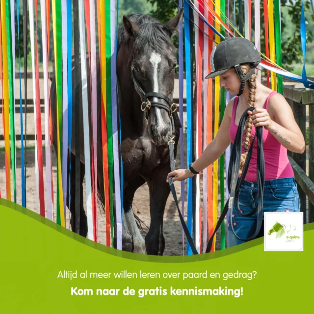 𝗪𝗮𝗮𝗿𝗼𝗺 𝗿𝗲𝗮𝗴𝗲𝗲𝗿𝘁 𝗲𝗲𝗻 𝗽𝗮𝗮𝗿𝗱 𝘇𝗼𝗮𝗹𝘀 𝗵𝗶𝗷 𝗱𝗼𝗲𝘁?
Of het nu gaat om spanning bij het opzadelen, ongewenst gedrag in de training of onverwachte reacties in de omgang, achter elk gedrag zit een reden. 

Tijdens de opleiding tot Instructeur Paard & Gedrag leer je het gedrag van paarden écht begrijpen en krijg je de tools om ruiters en eigenaren te begeleiden. 

De gratis infobijeenkomst geeft je een voorproefje: je ontdekt hoe de opleiding is opgebouwd en waarom dit vakgebied zo waardevol is. Je kunt al je vragen stellen aan ons team en gaat zelf direct in de praktijk aan de slag!

Er zijn nog een paar plekken beschikbaar voor de infobijeenkomst van volgende week zondag op 11 januari in Gouda!
 Meer info & aanmelden: https://e-quine.com/opleiding/gratis-open-ochtend/