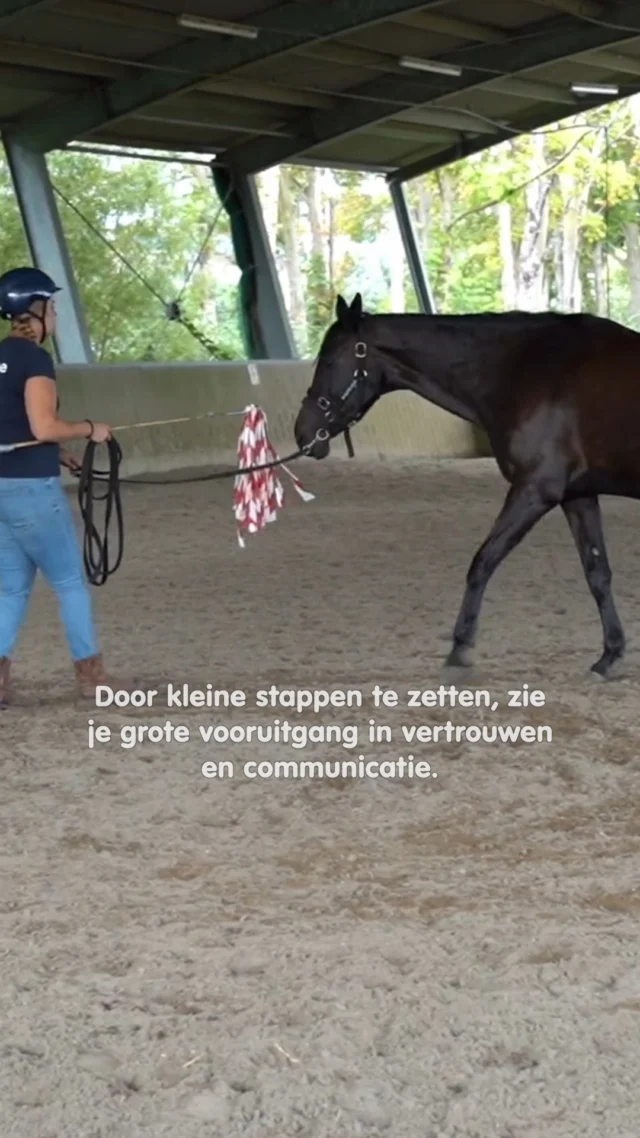 𝗡𝗶𝗲𝘂𝘄𝘀𝗴𝗶𝗲𝗿𝗶𝗴 𝗻𝗮𝗮𝗿 𝗱𝗲 𝗼𝗽𝗹𝗲𝗶𝗱𝗶𝗻𝗴 𝗜𝗻𝘀𝘁𝗿𝘂𝗰𝘁𝗲𝘂𝗿 𝗣𝗮𝗮𝗿𝗱 & 𝗚𝗲𝗱𝗿𝗮𝗴?
Dan is de gratis open ochtend op 11 januari in Gouda jouw kans om te ontdekken wat deze unieke opleiding zo bijzonder maakt!
Deze opleiding is voor mensen die verder willen kijken dan alleen training.
Het gaat om gedrag begrijpen, vanuit wetenschappelijke kennis én praktijkervaring.
Je leert paarden écht lezen, passende keuzes maken in je aanpak en bouwen aan vertrouwen.

𝗪𝗮𝘁 𝗸𝘂𝗻 𝗷𝗲 𝘃𝗲𝗿𝘄𝗮𝗰𝗵𝘁𝗲𝗻 𝘁𝗶𝗷𝗱𝗲𝗻𝘀 𝗱𝗲 𝗼𝗽𝗲𝗻 𝗼𝗰𝗵𝘁𝗲𝗻𝗱?
 📍Een kennismaking met onze visie op paardenwelzijn
 📍Meer info over de opleiding: inhoud, opbouw en leerdoelen
 📍Ontmoet docenten en stel al je vragen
 📍En natuurlijk: sfeer proeven op locatie!

Of je nu al in het vak zit of juist je eerste stap richting gedragstraining wilt zetten, deze ochtend helpt je bepalen of de opleiding bij jou past.

𝗭𝗲𝘁 ‘𝗺 𝗶𝗻 𝗷𝗲 𝗮𝗴𝗲𝗻𝗱𝗮: zondag 11 januari – 𝗚𝗼𝘂𝗱𝗮
Aanmelden kan hier: https://e-quine.com/opleiding/gratis-open-ochtend/