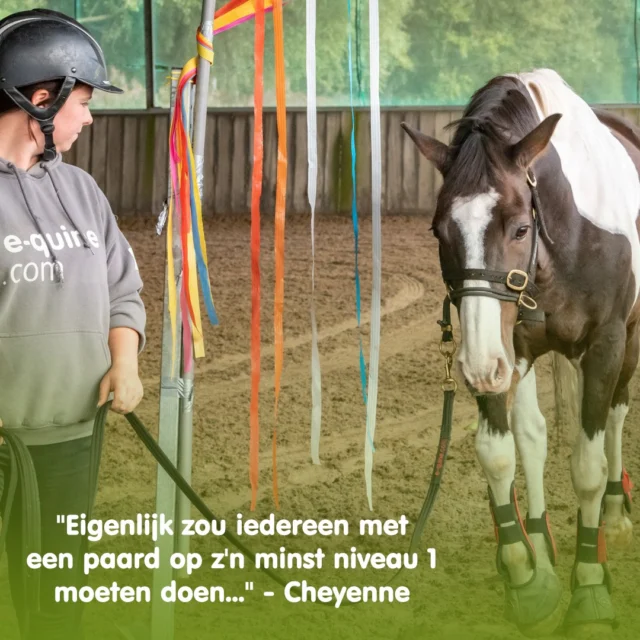 Deze mooie opmerking werd gemaakt door 1 van onze studenten! 💜

In niveau 1 van de opleiding tot Instructeur Paard & Gedrag leer je in minder dan een half jaar tijd zoveel nieuwe tools. Van grondwerk tot trailerladen en van loswerken tot dubbele lange lijnen...

Onze lesdagen zitten bomvol praktijk, want met paarden werken leer je vooral door zélf te doen en te ervaren!

In maart start er weer een nieuwe groep, hiervoor zijn nog een paar laatste vrije plekjes. 

Wil jij ervaren of het ook iets is dat bij jou past? Op 22 februari staat er weer een gratis informatiebijeenkomst gepland in Gouda.