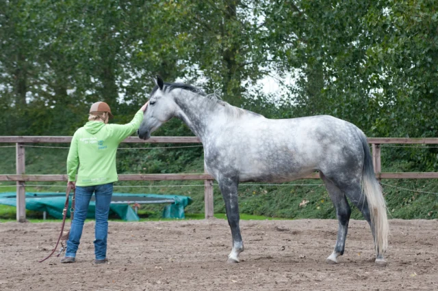 Het blijft bijzonder om te zien… 🎉 

Gisteravond gingen twee nieuwe edities van Annemarie’s Special in de verkoop, wát een enthousiasme weer! 🤍
Het weekend in april is inmiddels al uitverkocht, ongelooflijk! Ook het weekend in mei loopt razendsnel vol.

Wat een mooie groep deelnemers heeft zich alweer aangemeld!

Twijfel je nog? Dan is dit hét moment om aan te haken. 
https://e-quine.com/product/annemarie-special/

Succes mag gedeeld worden, toch? 😉