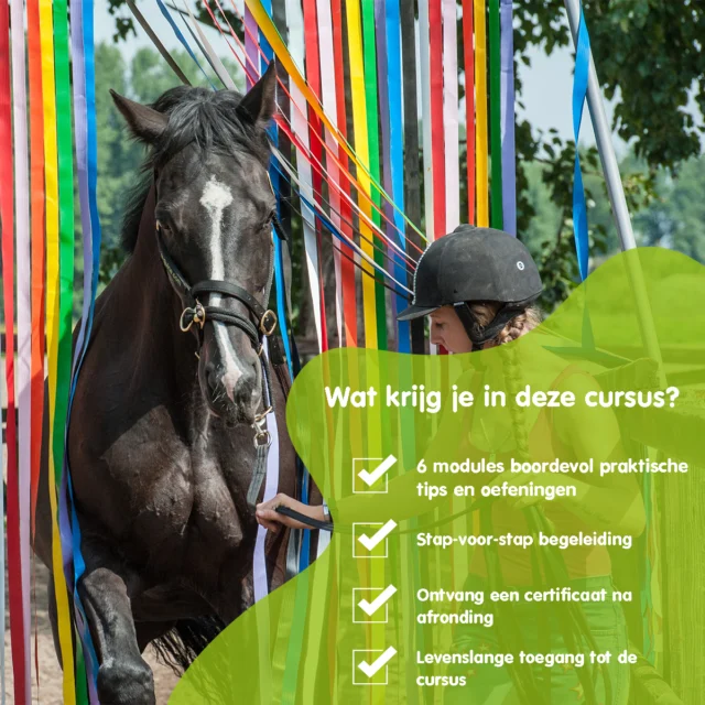 Wil jij...

✨ nog meer vertrouwen
✨ nog betere communicatie
✨ nog meer ontspanning en duidelijkheid vanaf de grond

Dan zijn onze nieuwe online cursussen precies wat je zoekt:

🐴 Loswerken & Lange Lijnen
🐴 Grondwerk & Obstakeltraining

6 uitgebreide modules vol praktische video's, tips en oefeningen, zodat jij op jouw eigen tempo aan de slag kunt!

Profiteer nu tijdelijk van ons Early Bird aanbod tot 1 februari:
👉 €49,95 per cursus (i.p.v. €79,95)

Bekijk de cursussen via de link (in bio):
https://e-quine.com/online-cursussen/grondwerk-obstakeltraining/
https://e-quine.com/online-cursussen/loswerken-lange-lijnen/