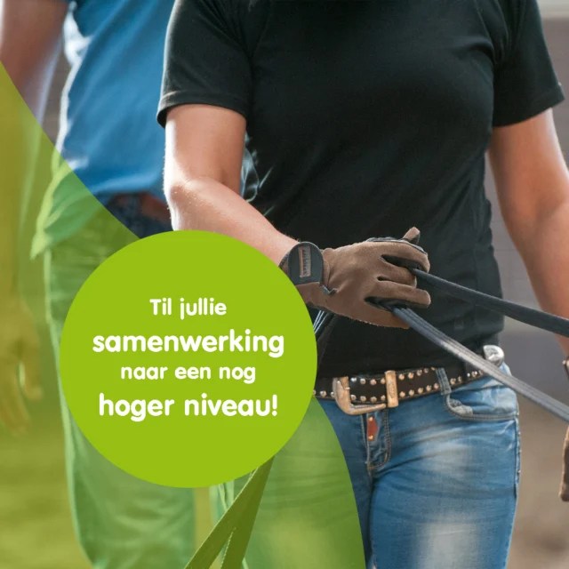 Nog maar een paar dagen… ⏳

De Early Bird korting op onze nieuwe online cursussen loopt bijna af!

🐴 Loswerken & Lange Lijnen
🐴 Grondwerk & Obstakeltraining

Wil je op je eigen tempo leren, met duidelijke video's, stappenplannen en theoretische uitleg om zo met nog meer plezier en structuur met je paard bezig te zijn? 
Dan is dit je moment 👇

💸 €49,95 per cursus
⏰ Dit aanbod loopt enkel in januari, wees er snel bij!

👉 https://e-quine.com/online-cursussen/loswerken-lange-lijnen/
https://e-quine.com/online-cursussen/grondwerk-obstakeltraining/