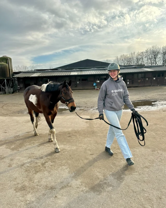 📣 Niveau 1 (groep 1) in actie!

Afgelopen weekend verzamelden onze studenten uit niveau 1 zich in Gouda voor hun derde lesweekend.

Nadat de basis in een aantal onderdelen in de eerste weekenden is gelegd, stond dit weekend in het teken van finetunen. Het draaide om de nuances: de timing, het gevoel en de subtiele communicatie die het verschil maken in de samenwerking met je paard. 

Naast de praktijkvaardigheden hadden ze ook een hele dag in het teken van de gezondheid en beweging van het paard. Dierenarts Renate Ottenheim nam de studenten mee in de meest voorkomende gezondheidskwalen, fysiek ongemak en het bestuderen van een (on)gezonde beweging. Het begrijpen van het fysieke welzijn is immers de basis voor elke eerlijke training.

En nu? Op naar hun examens over twee weken!🤩