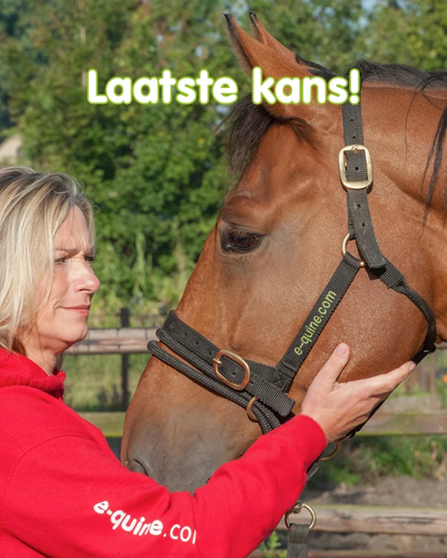 🔔 LAATSTE KANS 🔔

Onze communicatiecursussen worden voorlopig niet meer gegeven.
De laatst geplande editie staat op 1 maart 2026 en daar zijn nu nog enkele plekken beschikbaar.

👉 Wil je je verdiepen in communicatie, samenwerking en afstemming met je paard?
Dan is dit het moment.
🔗 https://e-quine.com/product/communicatie/

-
✨ Annemarie’s Special op 10 & 11 mei
Door enkele afmeldingen zijn hier weer 2 plekken beschikbaar gekomen.
Deze special zit altijd snel vol, dus wacht niet te lang!

🔗 https://e-quine.com/product/annemarie-special/