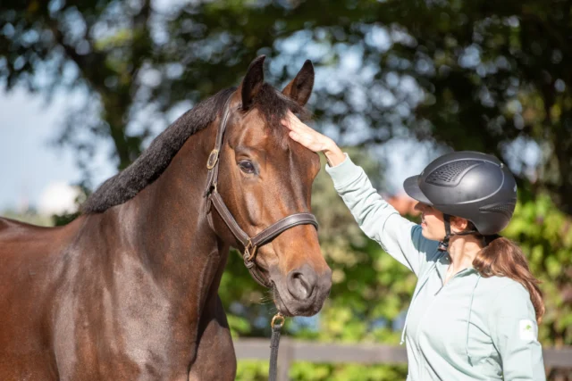 *VOL*𝗞𝗢𝗠𝗘𝗡 𝗪𝗘 𝗕𝗜𝗝 𝗝𝗢𝗨 𝗢𝗣 𝗟𝗢𝗖𝗔𝗧𝗜𝗘 𝗧𝗥𝗔𝗜𝗡𝗘𝗡?

In april gaan we met de niveau 3 studenten van e-quine.com weer op pad door Nederland om op verschillende locaties met paarden te werken! Een ideale kans om hulp te krijgen bij de training van je paard op je eigen locatie. Wil jij deze kans benutten? Lees dan snel de voorwaarden door en meld je aan via info@e-quine.com.

𝗪𝗮𝘁 𝘇𝗼𝗲𝗸𝗲𝗻 𝘄𝗲?
- Onze voorkeur gaat uit naar locaties waar we de hele dag met verschillende paarden kunnen werken (6-8 paarden per dag is haalbaar). Dit zorgt ervoor dat alle studenten actief bezig kunnen zijn met trainen.
- Een rijbaan/werkplek waar we tussen 10:00 en 16:00 aan de slag kunnen. Een overdekte werkplek heeft de voorkeur i.v.m. mogelijk slecht weer.

𝗪𝗮𝘁 𝗸𝘂𝗻𝗻𝗲𝗻 𝘄𝗲 𝗯𝗶𝗲𝗱𝗲𝗻?
- Niveau 3 studenten komen onder begeleiding van gediplomeerde instructeurs bij jou op locatie om actief met de paarden te trainen.
- Kosteloze training/les op het gebied van grondwerk, loswerken, obstakeltraining, trailerladen of lange lijnen. We richten ons hierbij op de ontwikkeling van de paarden.
- Een leerzame dag voor zowel jou als je paard!

We zoeken locaties voor de volgende data: 𝟳, 𝟴, 𝟭𝟰 𝗲𝗻 𝟭𝟱 𝗮𝗽𝗿𝗶𝗹.
Heb je interesse? Mail dan snel je gegevens, locatie en eventuele voorkeursdata naar info@e-quine.com. 𝗩𝗼𝗹 = 𝘃𝗼𝗹!