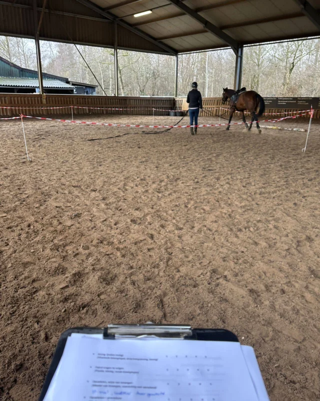 Afgelopen dinsdag stond volledig in het teken van het Niveau 1 examen van onze opleiding Instructeur Paard & Gedrag.

Zowel bij Aeres Emmeloord als binnen onze eigen opleiding in Gouda lieten de studenten zien wat ze hebben geleerd, en met succes!

💪 Iedereen is geslaagd! Gefeliciteerd allemaal.