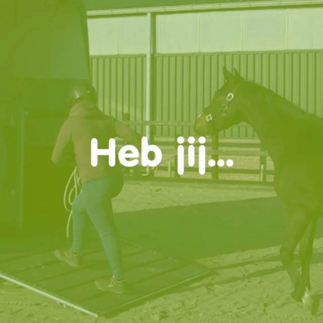 Met de online cursus Trailerladen – van uitdaging naar oplossing leer je stap voor stap hoe je jouw paard weer ontspannen de trailer in krijgt. Geen stress, geen strijd, maar duidelijkheid en vertrouwen voor zowel jou als je paard.

🎥 De cursus bevat 75+ instructievideo’s, praktische oefeningen en echte casussen zodat je precies ziet hoe je verschillende laadproblemen kunt aanpakken. 

🔥 Tijdelijke actie:
Nu €49,95 i.p.v. €79,95

🎁 Extra bonus:
Bij deelname krijg je ook een 30 minuten adviesgesprek met Annemarie van der Toorn, waarin je jouw specifieke situatie kunt bespreken en persoonlijk advies krijgt.

Wil jij ook weer ontspannen op pad met je paard?

👉 Bekijk de cursus en profiteer van de actie:
https://e-quine.com/online-cursussen/trailerladen/