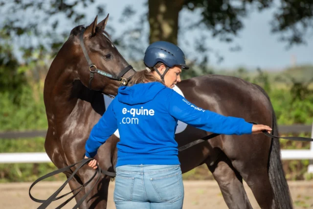 Meer verbinding, lichtheid en controle vanaf de grond! 

Wil jij jouw paard beter leren begrijpen én verfijnder leren communiceren? Dan is de cursus Loswerken & Lange lijnen echt iets voor jou.

Leer hoe je met je lichaamstaal richting, tempo en samenwerking beïnvloedt. Eerst los, en daarna met dubbele lange lijnen. Zo werk je stap voor stap aan meer balans, ontspanning en vertrouwen.

💡 Ideaal als je:
– meer verbinding wilt met je paard
– bewuster wilt leren trainen vanaf de grond
– een sterke basis wilt opbouwen voor het rijden

Praktisch, duidelijk en direct toepasbaar in je training. Wist je dat lange lijnen één van de dingen is die Annemarie het leukst vindt om te doen met paarden?

🔗 https://e-quine.com/online-cursussen/loswerken-lange-lijnen/

#paardentraining #grondwerk #loswerken #langelijnen #paardenwelzijn #paardenwelzijn #HorseBehavior #opleiding #equine