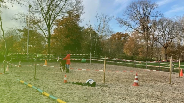 INSTRUCTEUR PAARD & GEDRAG: Froukje Veenema-Derks

Het is weer tijd om een nieuwe instructeur aan jullie voor te stellen. Deze keer een instructeur uit regio Oudehorne, namelijk Froukje Veenema-Derks. 

Froukje behaalde een tijdje terug zijn ORUN3 gecertificeerd ‘Instructeur Paard & Gedrag’ diploma. Als gediplomeerd Instructeur Paard & Gedrag én gediplomeerd Instructeur Allround Paardrijden (beiden niveau 3) helpt Froukje combinaties in hun training en samenwerking, zowel aan de hand als onder het zadel. 
Froukje: "Mijn missie is simpel: paarden en mensen helpen elkaar beter te begrijpen, zodat trainen weer leuk en logisch wordt. Met kleine, haalbare stappen bouwen we aan een samenwerking waarin rust, wederzijds vertrouwen en plezier centraal staan." 

Wil je meer weten over Froukje of hoe zij zich heeft ontwikkeld tot instructeur Paard en Gedrag? Bekijk dan haar informatie op onze website: 
https://e-quine.com/over-ons/onze-instructeurs/ of de video hieronder!