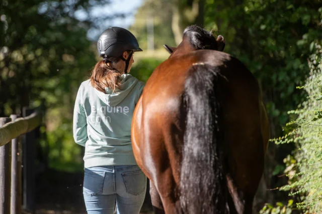 Waarom doet jouw paard wat hij doet? 🐴

Veel gedrag dat we “lastig” noemen, is eigenlijk logisch — als je leert kijken door de ogen van het paard.

In de online cursus Paardenpsychologie duik je in het brein van je paard en ontdek je:
✔️ Hoe paarden denken, leren en reageren
✔️ Het verschil tussen instinct (nature) en aangeleerd gedrag (nurture)
✔️ Hoe zintuigen, stress en emoties gedrag beïnvloeden
✔️ Hoe jij hier praktisch op in kunt spelen in training en omgang

Je leert niet alleen wat je paard doet, maar vooral waarom. En dat maakt alles anders.
✨ Meer begrip → minder frustratie
✨ Betere communicatie
✨ Sterkere samenwerking

De cursus is volledig online, met video’s, uitleg en oefeningen die je direct kunt toepassen. En je hebt levenslang toegang, dus je leert in je eigen tempo!

👉 Start vandaag nog:
https://e-quine.com/online-cursussen/paardenpsychologie/