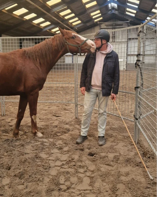 Afgelopen weekend was het weer tijd voor de Annemarie's Special! 
In Bergen gingen de deelnemers aan de slag met de jonge paarden. De tweejarigen kunnen inmiddels allemaal gehalsterd worden en meelopen, en bij enkele is zelfs een begin gemaakt met de dekjes. Super goed gedaan allemaal! Op naar de volgende editie in mei!😇