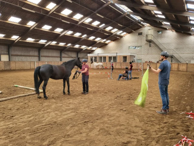 𝗢𝗻𝘁𝗱𝗲𝗸 𝗼𝗳 𝘄𝗲𝗿𝗸𝗲𝗻 𝗺𝗲𝘁 𝗽𝗮𝗮𝗿𝗱𝗲𝗻 𝗲𝗻 𝗴𝗲𝗱𝗿𝗮𝗴 𝗯𝗶𝗷 𝗷𝗼𝘂 𝗽𝗮𝘀𝘁ⵑ
Ben jij nieuwsgierig naar waarom paarden doen wat ze doen?
En wil je leren hoe je hun gedrag positief kunt beïnvloeden met respect én kennis?
Tijdens onze 𝗴𝗿𝗮𝘁𝗶𝘀 𝗼𝗽𝗲𝗻 𝗼𝗰𝗵𝘁𝗲𝗻𝗱 maak je kennis met de opleiding Instructeur Paard & Gedrag.
Je krijgt een kijkje in de lesstof, ontmoet docenten en ervaart zelf hoe praktijk en theorie samenkomen.

𝗪𝗮𝗮𝗿𝗼𝗺 𝗼𝗻𝘇𝗲 𝗼𝗽𝗹𝗲𝗶𝗱𝗶𝗻𝗴?
✅ Enige officieel erkende opleiding gericht op paardengedrag in Nederland (KNHS & NOC*NSF)
✅ Unieke mix van theorie en praktijk, begeleid door topdocenten
✅ Leer de diepere oorzaken achter paardengedrag begrijpen

📍Gouda
Zondag 19 april
10:00 – 12:30
Gratis deelname

Meld je vandaag nog aan en verzeker je van een plek: https://e-quine.com/opleiding/gratis-open-ochtend/
Tot dan!
 #grondwerk #opleiding #paardenwelzijn #HorseBehavior #horsemanship #loswerken #vertrouwen #paardentraining #equine #paardenkennis