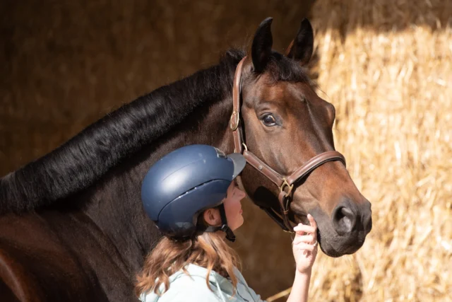 𝗪𝗶𝗹 𝗷𝗲 𝗸𝗲𝗻𝗻𝗶𝘀𝗺𝗮𝗸𝗲𝗻 𝗺𝗲𝘁 𝗼𝗻𝘇𝗲 𝗼𝗽𝗹𝗲𝗶𝗱𝗶𝗻𝗴? 🐎

Ben je nieuwsgierig naar de opleiding Instructeur Paard & Gedrag?

Kom dan naar één van onze gratis open ochtenden!

Voor de zomer organiseren we op verschillende locaties nog een aantal momenten waarop je vrijblijvend kunt langskomen om sfeer te proeven en te ontdekken of de opleiding bij je past ✨

Tijdens zo’n ochtend nemen we je mee in onze visie op paardenwelzijn en laten we je zien hoe we binnen de opleiding werken.

𝗪𝗮𝘁 𝗸𝘂𝗻 𝗷𝗲 𝘃𝗲𝗿𝘄𝗮𝗰𝗵𝘁𝗲𝗻?
– Een kennismaking met onze visie op paarden en gedrag
– Uitleg over de opleiding (inhoud, opbouw en leerdoelen)
– De mogelijkheid om al je vragen te stellen
– En natuurlijk: de sfeer ervaren op locatie

Het is hét moment om te ontdekken of dit bij jou past, zeker als je na de zomer wilt starten!

👉 Bekijk alle data en meld je gratis aan via onze website.
