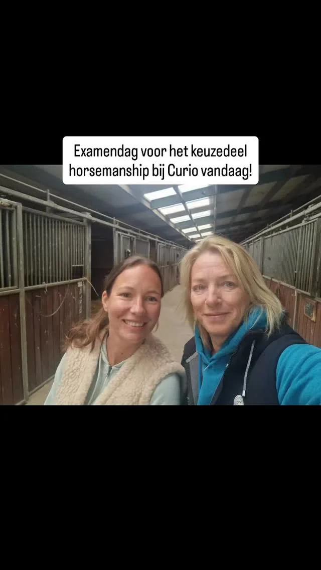 Vandaag stond de eerste examendag van het keuzedeel horsemanship bij Curio op het programma. Super goed gedaan meiden!
