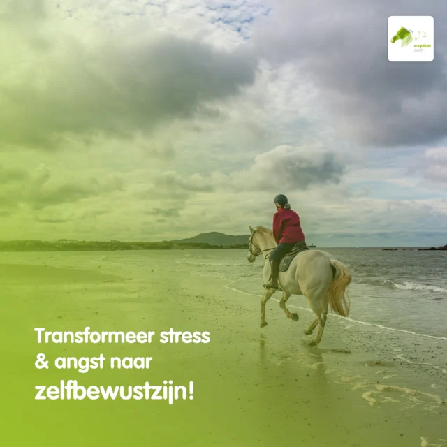 Soms wil je niets liever dan gewoon… genieten met je paard!🐴

Een ontspannen buitenrit. Samen de natuur in.

Maar in de praktijk voelt het anders.
Je paard is gespannen, schrikt sneller of blijft “aan” staan.

Of misschien voel jij zelf spanning, omdat je niet goed weet wat er gaat gebeuren.
Stress en angst — bij paard én mens — kunnen samenwerking flink in de weg staan.

Niet omdat er iets “mis” is, maar omdat het zenuwstelsel probeert om veiligheid te vinden.

Wat als je dat beter leert begrijpen?
Als je leert:
✨ stresssignalen eerder te herkennen
✨ te zien wat er onder gedrag ligt
✨ en hoe je je paard (en jezelf) helpt terug te keren naar ontspanning

In onze online summit duiken we precies in dit stuk.

Zodat je niet alleen anders gaat kijken… maar ook anders gaat voelen en handelen.
Zodat die ontspannen buitenrit weer mogelijk wordt. 💛

📅 6 & 7 juni

Nu met scherp Early Bird tarief! Mis het niet! 

#paardengedrag #ditiswatpaardendoen #paardrijden #lerenoverpaarden