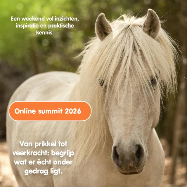Het is weer zover!! 🌟

Dé online summit over paardengedrag van 2026 staat voor de deur!🐴

📅 Zet de data 6 & 7 juni maar alvast in je agenda...

Na het enorme succes van de vorige editie zijn we terug en dit keer gaan we nóg een stap verder... 🥁

Het thema van dit jaar is: 'Van prikkel tot veerkracht' met vier webinars over stress, regulatie en samenwerking in de moderne paardenwereld.

En geloof ons…

We hebben een fantastische internationale line-up voor je klaarstaan 👀✨
Experts die je meenemen in het paardenbrein, het zenuwstelsel en wat er écht onder gedrag ligt.

👉 Vanavond maken we alle sprekers bekend! Dit wil je écht niet missen!