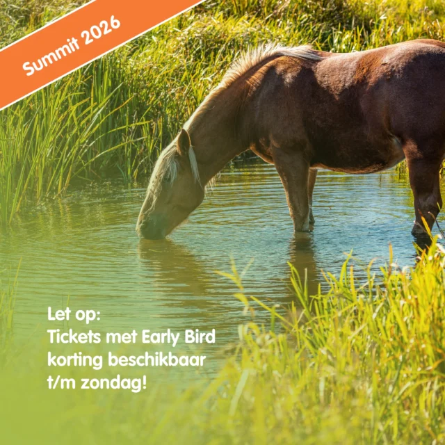 Wij snappen helemaal...

dat je met dit prachtige weer heel andere plannen hebt dan achter je computer of op je telefoon zitten. ☀️🏊🏼

Maar wel even een kleine reminder, want de tickets voor dé online summit van 2026 met Early Bird korting zijn nog t/m morgen beschikbaar! ⌛️

Daarna kun je ook nog steeds je kaartje kopen, alleen gaat de prijs vanaf maandag omhoog. Dus, ben je van plan om deel te nemen (of om de webinars later terug te kijken, want dat kan ook!) bestel dan nu nog snel je kaartje met korting.