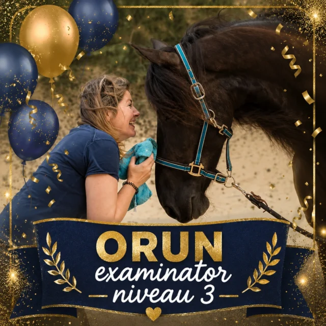 Hoera! 🎉

We hebben iets te vieren: ons team is een ORUN-examinator niveau 3 rijker!

Vanaf 1 juni mag Gonnie Petstra officieel de afsluitende praktijkexamens van onze studenten beoordelen. Een prachtige erkenning van haar kennis, ervaring en vakmanschap.

Wij zijn ontzettend blij met deze uitbreiding binnen ons team. Gonnie is niet alleen een fijne collega om mee samen te werken, maar staat ook garant voor een eerlijke, deskundige en goed onderbouwde beoordeling van onze studenten.

Van harte gefeliciteerd! 🥂✨