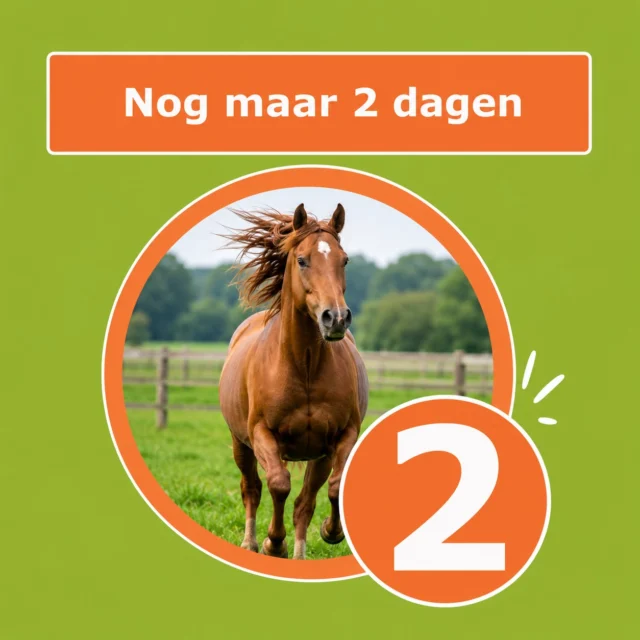 Nog 2 dagen en dan is het zover... 🎉

Dé summit over paardengedrag van 2026! Trots zijn we op de mooie line-up die we dit jaar hebben. 4 fantastische experts uit zowel binnen- als buitenland komen hun kennis met ons delen. 

We kunnen het ons eigenlijk niet voorstellen, maar mocht je het nou gemist hebben dan hierbij nog even de informatie op een rijtje:
👉🏻 6 & 7 juni 2026
📹 replays (met ondertiteling!) beschikbaar
🇺🇸 vooraanstaande experts uit binnen- en buitenland

Welke webinar kijk jij het meest naar uit? 👇🏻