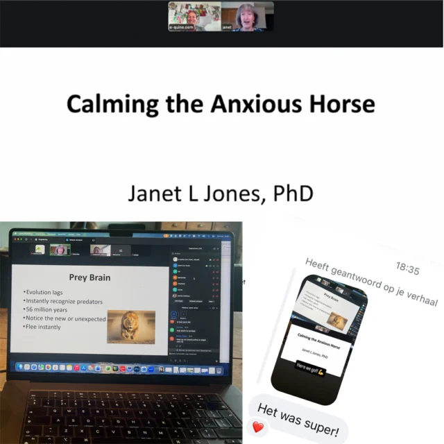 Wat een prachtige aftrap van onze summit vandaag door Janet Jones. 💛

Een van de dingen die ons het meest bijbleef, was de uitleg over de verschillen tussen het menselijke brein en het paardenbrein.

Waar wij vaak eerst analyseren en nadenken, slaan paarden die stap eigenlijk over. Hun brein is ontworpen om razendsnel te reageren op mogelijke dreiging. Vanuit overleving is dat logisch. Vanuit samenwerking met mensen levert dat soms uitdagingen op.

De meeste paardenmensen weten in theorie wel welke factoren allemaal invloed hebben op gedrag, maar juist daar zit misschien de grootste les.

Weten is één ding, maar je er bewust van zijn op het moment dat je met je paard werkt, is iets anders. Hoe vaak verwachten of hopen we dat een paard iets begrijpt, terwijl we het nog niet echt hebben uitgelegd?

Een uitspraak van Janet bleef hangen: "Teach, don't just expect."

Dankjewel Janet voor een inspirerend webinar vol praktische inzichten. 🐴🧠