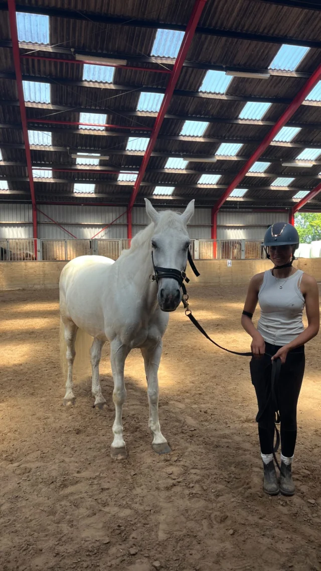 Afgelopen donderdag reisden we af naar Friesland voor de examens van het keuzedeel Horsemanship voor @aeresleeuwardenpaard. We waren expres vroeg begonnen i.v.m de voorspelde hitte, maar in het noorden van het land bleek het die dag niet warmer dan 22 graden 🙃. Ach, er was in ieder geval genoeg tijd voor nog een lekker middagprogramma zullen we maar zeggen. We hebben echt genoten van de mooie sessies die we gezien hebben, super goed gedaan meiden!