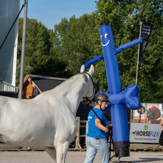 Ook dit jaar zijn we weer aanwezig op Horse Event Pro! 🎉🐴

Op 12 & 13 september zijn we erbij en inmiddels zijn de voorbereidingen in volle gang. We hebben er ontzettend veel zin in! Herkennen jullie ons attribuut van vorig jaar nog?😇

Je vindt ons beide dagen bij onze stand, waar we je graag ontmoeten en alles vertellen over onze opleiding. Daarnaast verzorgen we diverse clinics met een gevarieerd programma!

Kom gezellig langs voor een praatje, stel je vragen of schuif aan bij één van onze clinics. We hopen jullie allemaal te zien op Horse Event Pro!