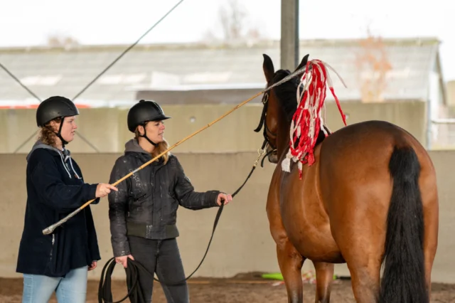 Wat was het een geslaagde informatieochtend afgelopen zondag in Gouda! 🐴

We mochten een leuke groep enthousiaste deelnemers ontvangen die kennis kwamen maken met de opleiding en natuurlijk al hun vragen konden stellen. Mooi om zoveel interesse te zien!

Inmiddels heeft al meer dan 70% van de deelnemers zich aangemeld voor de opleiding Instructeur Paard & Gedrag, die in oktober van start gaat. Hoe vet is dat!

Er zijn nog een paar plekken beschikbaar. Lijkt het jou ook leuk om je te verdiepen in het gedrag van het paard en hier eventueel je werk van te maken? Dan is dit je kans!

Meer informatie over de opleiding vind je op onze website!

We kijken ernaar uit om in oktober met een nieuwe, enthousiaste groep van start te gaan! 🤩💪
